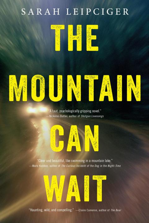 Cover image for book The Mountain Can Wait