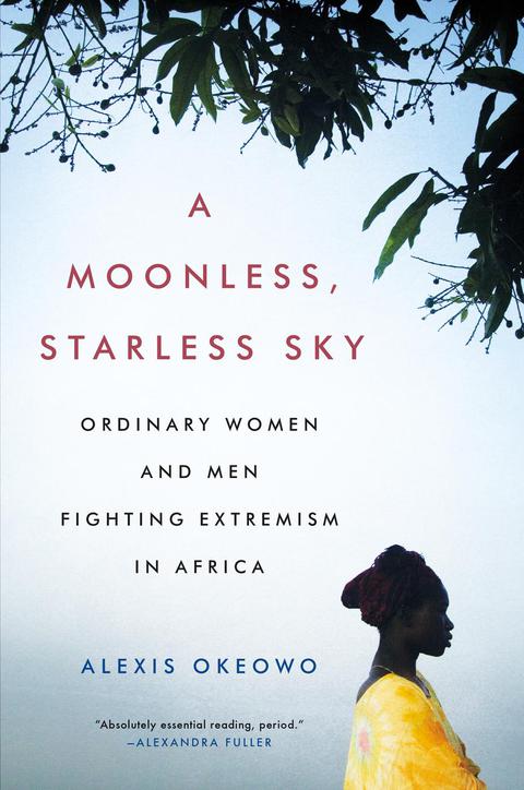 Cover image for book A Moonless, Starless Sky