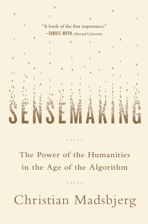 Cover image for book Sensemaking