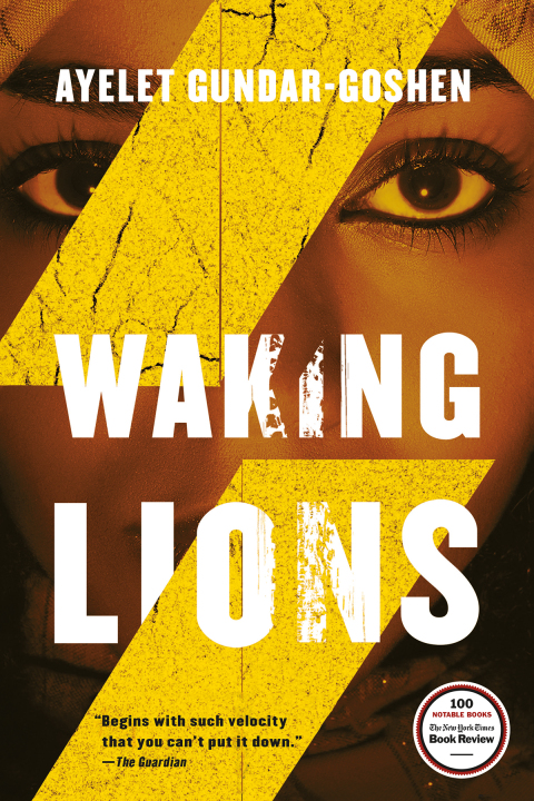 Cover image for book Waking Lions