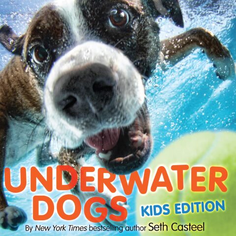 Cover image for book Underwater Dogs: Kids Edition