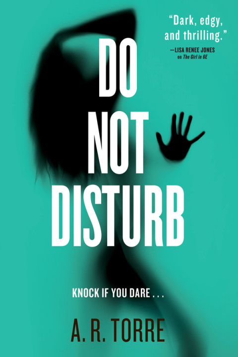 Cover image for book Do Not Disturb