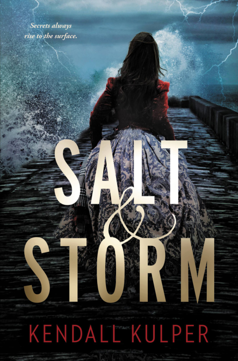 Cover image for book Salt & Storm