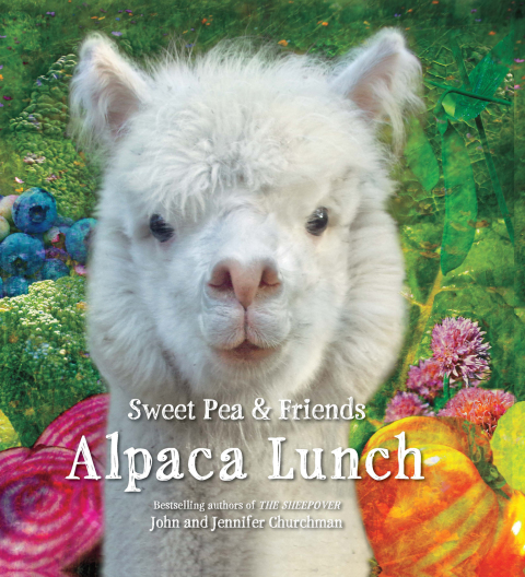 Cover image for book Alpaca Lunch