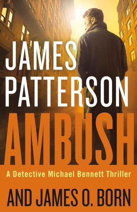 Cover image for book Ambush