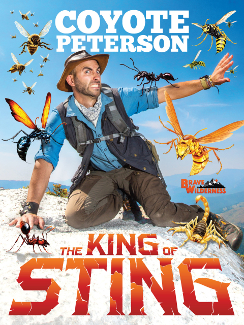 Cover image for book The King of Sting