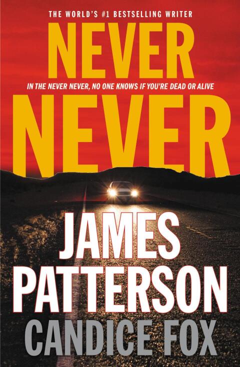 Cover image for book Never Never