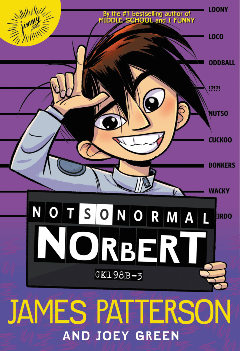 Cover image for book Not So Normal Norbert