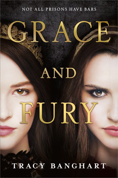 Cover image for book Grace and Fury