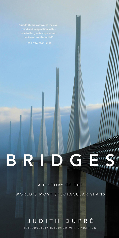 Cover image for book Bridges