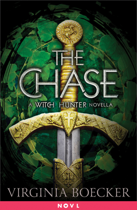 Cover image for book The Chase