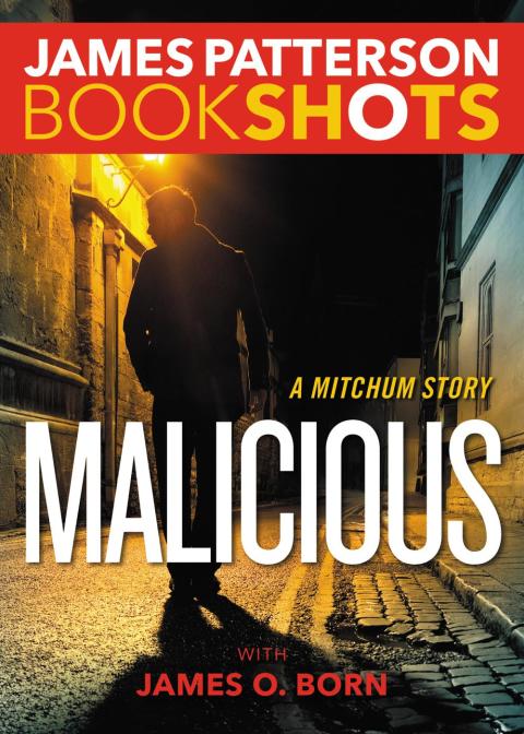 Cover image for book Malicious