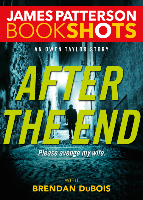 Cover image for book After the End