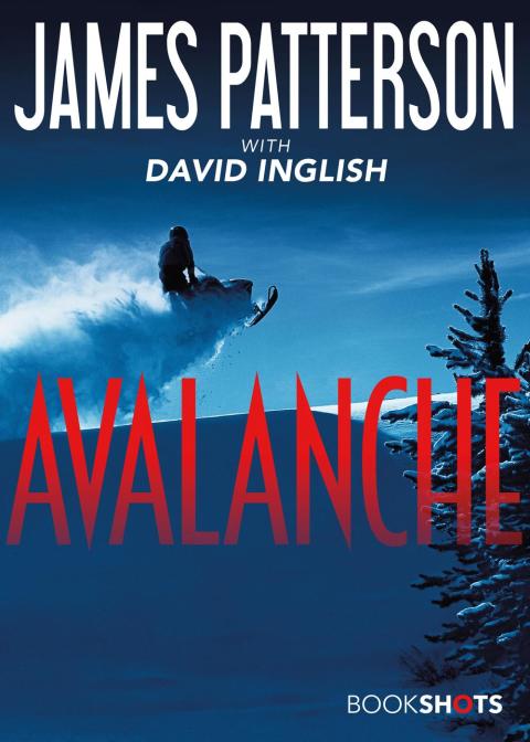 Cover image for book Avalanche