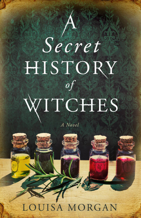 Cover image for book A Secret History of Witches
