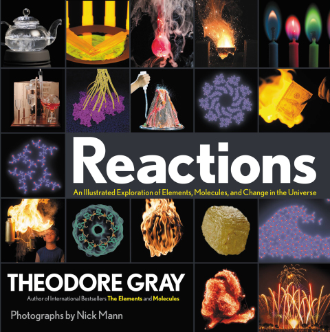 Cover image for book Reactions