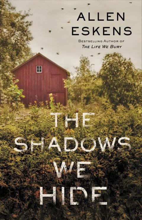 Cover image for book The Shadows We Hide