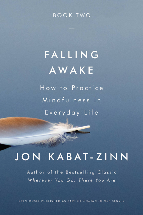 Cover image for book Falling Awake