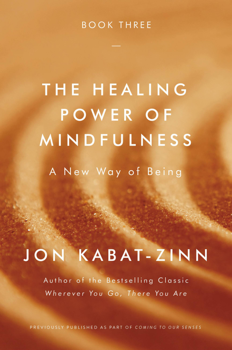 Cover image for book The Healing Power of Mindfulness