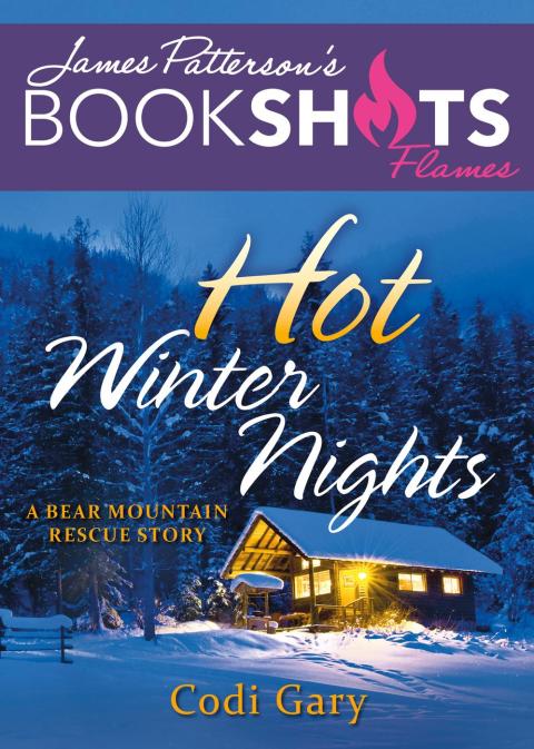 Cover image for book Hot Winter Nights
