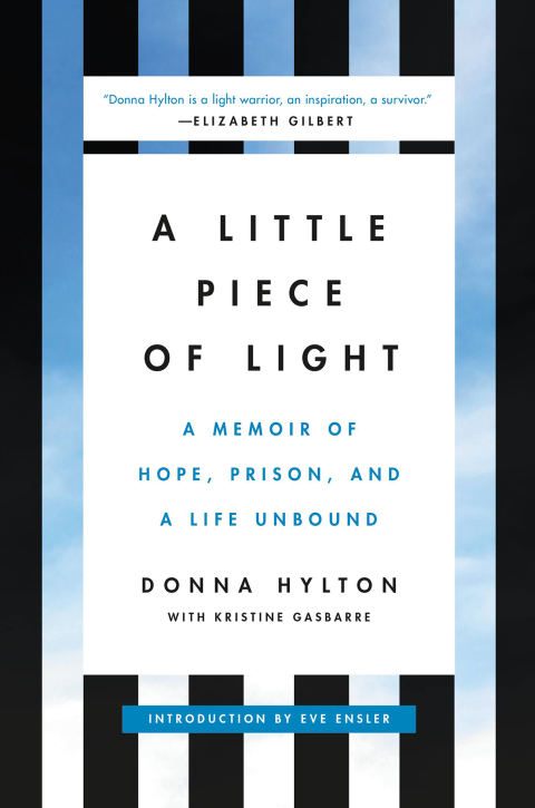Cover image for book A Little Piece of Light