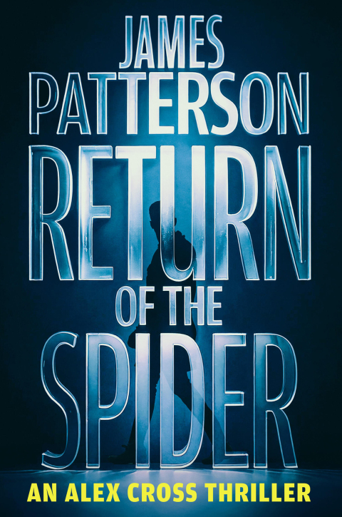 Cover image for book Return of the Spider