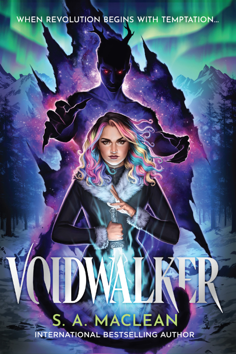 Cover image for book Voidwalker