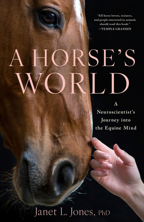 Cover image for book A Horse's World