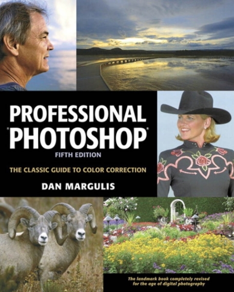 Cover image for book Professional Photoshop