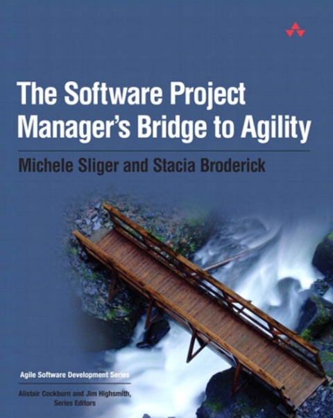Cover image for book The Software Project Manager's Bridge to Agility