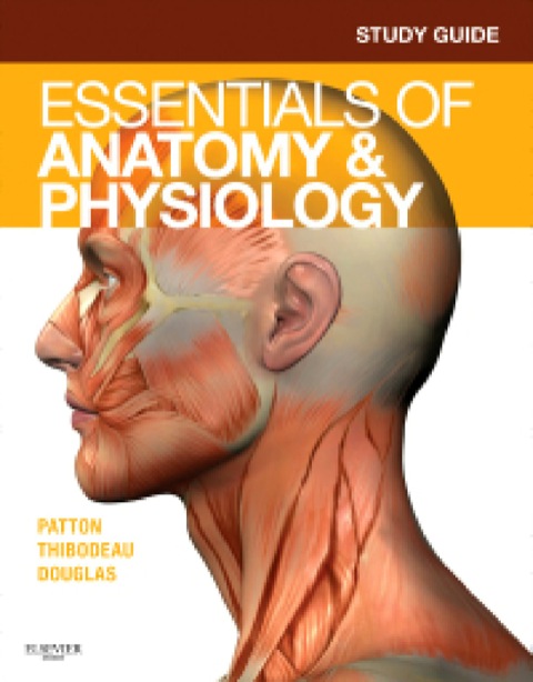 Cover image for book Study Guide for Essentials of Anatomy & Physiology