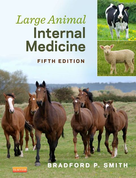 Cover image for book Large Animal Internal Medicine