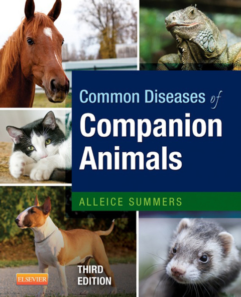 Cover image for book Common Diseases of Companion Animals