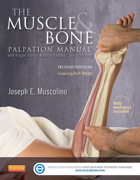 Cover image for book Muscle and Bone Palpation Manual with Trigger Points, Referral Patterns and Stretching