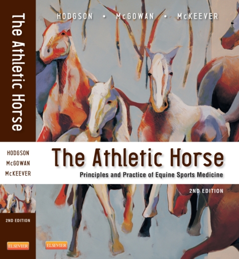 The Athletic Horse 