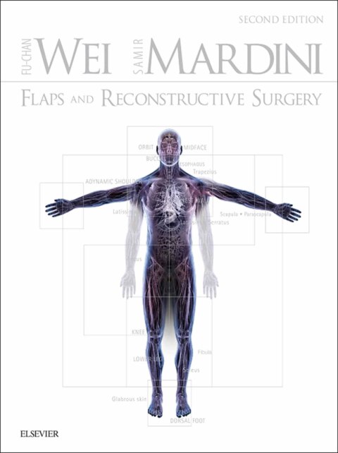 Cover image for book Flaps and Reconstructive Surgery