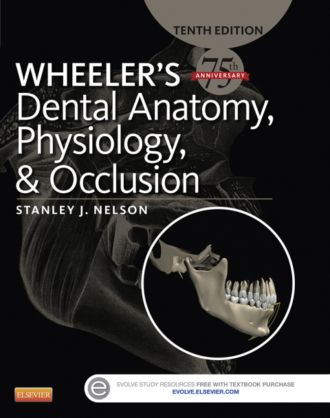 Cover image for book Wheeler's Dental Anatomy, Physiology and Occlusion