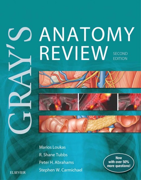 Gray's Anatomy Review 