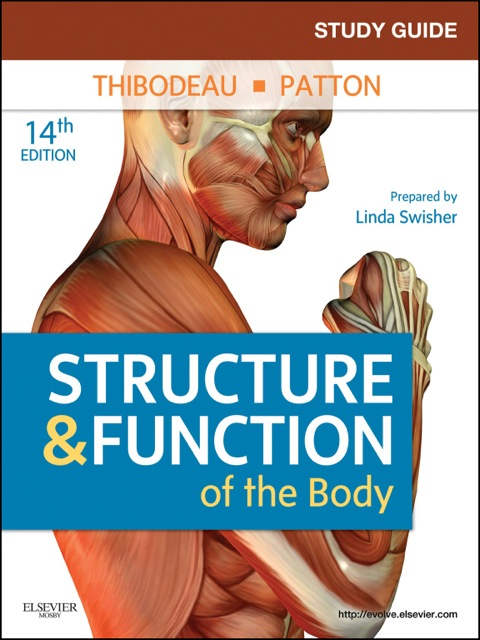 Cover image for book Study Guide for Structure & Function of the Body