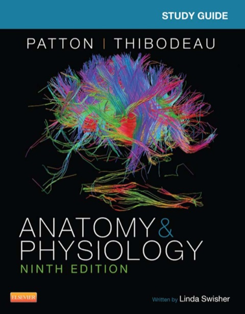 Cover image for book Study Guide for Anatomy & Physiology