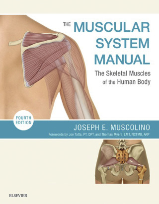 The Muscular System Manual: The Skeletal Muscles of the Human Body
