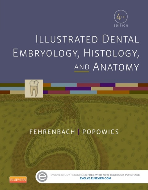 Cover image for book Illustrated Dental Embryology, Histology, and Anatomy