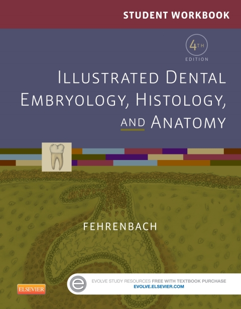 Cover image for book Student Workbook for Illustrated Dental Embryology, Histology and Anatomy