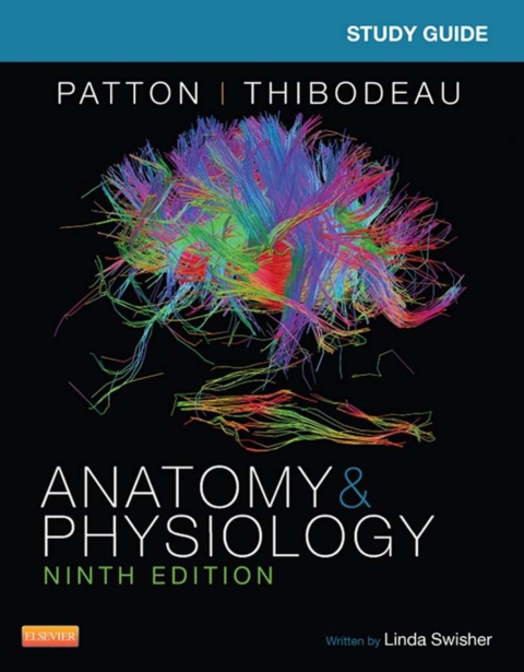 Cover image for book Study Guide for Anatomy & Physiology