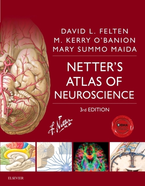 Cover image for book Netter's Atlas of Neuroscience