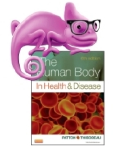 Cover image for book Elsevier Adaptive Quizzing for The Human Body in Health and Disease (eCommerce Version)