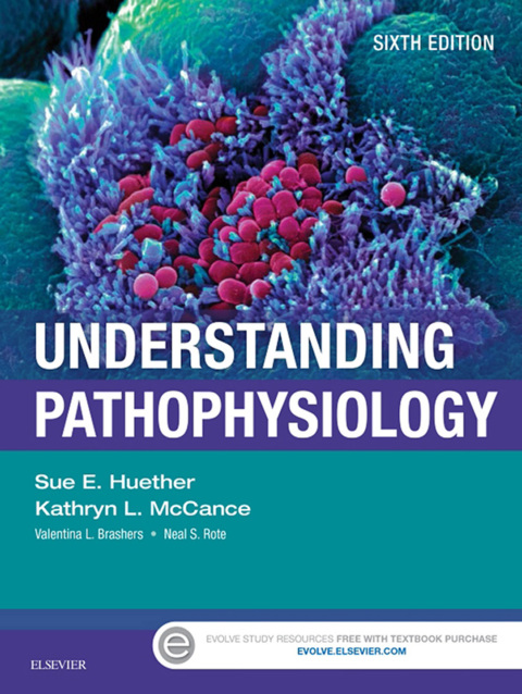 Cover image for book Understanding Pathophysiology