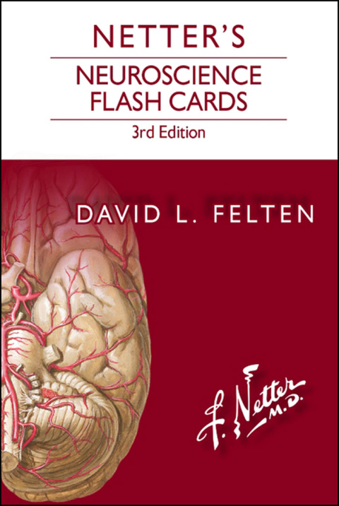 Cover image for book Netter's Neuroscience Flash Cards