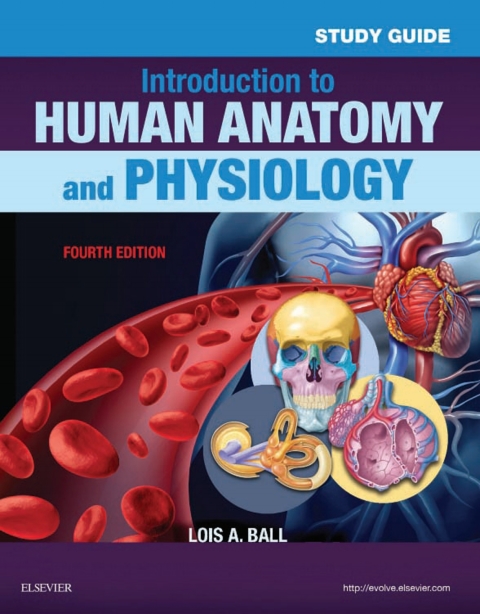 Cover image for book Study Guide for Introduction to Human Anatomy and Physiology