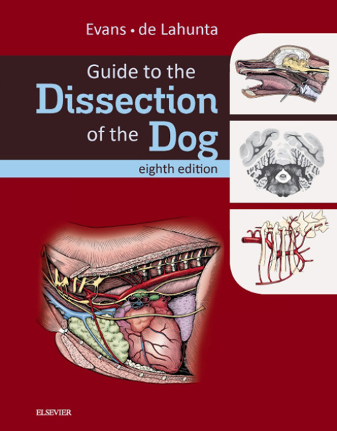 Cover image for book Guide to the Dissection of the Dog